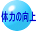 体力の向上